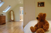 Teddy on loft conversion bed