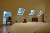 Teddy on loft conversion bed